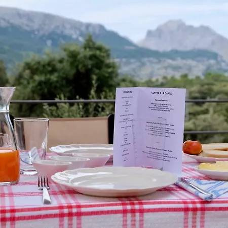 Son Alzines Farm stay