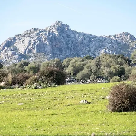 Son Alzines مزرعة للإقامة ليوك